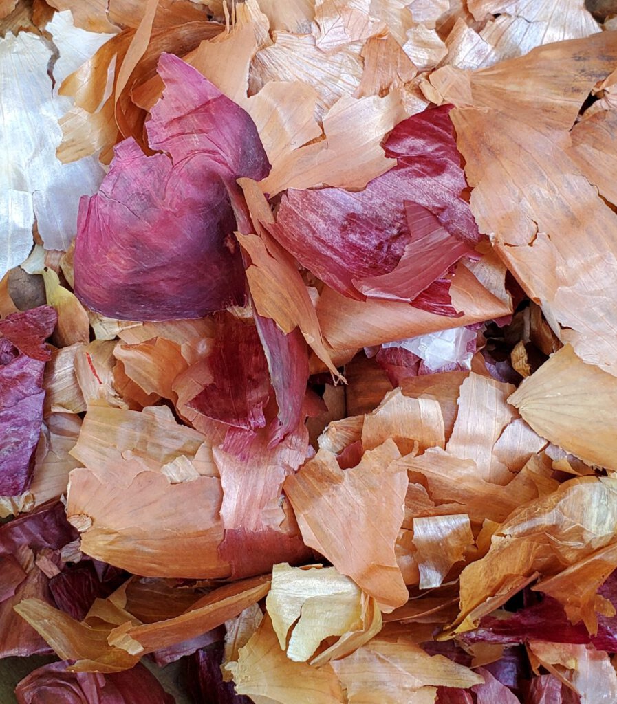 Onion Skins Long Ridge Natural Dyes