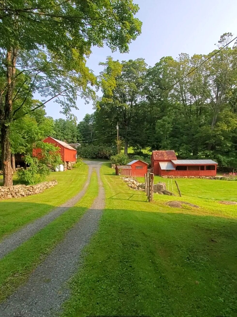 Setting Long Ridge Natural Dyes